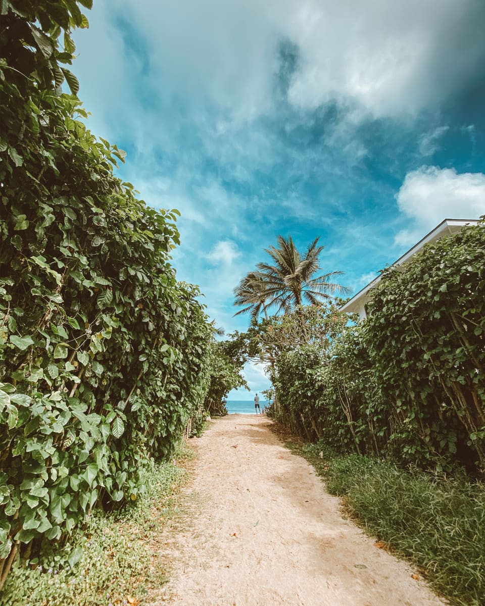 Beach Pathway — Barbados