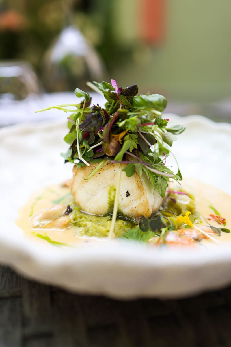 Gourmet Appetizer — Barbados