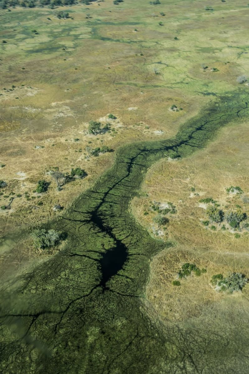 Okavango Delta — Botswana