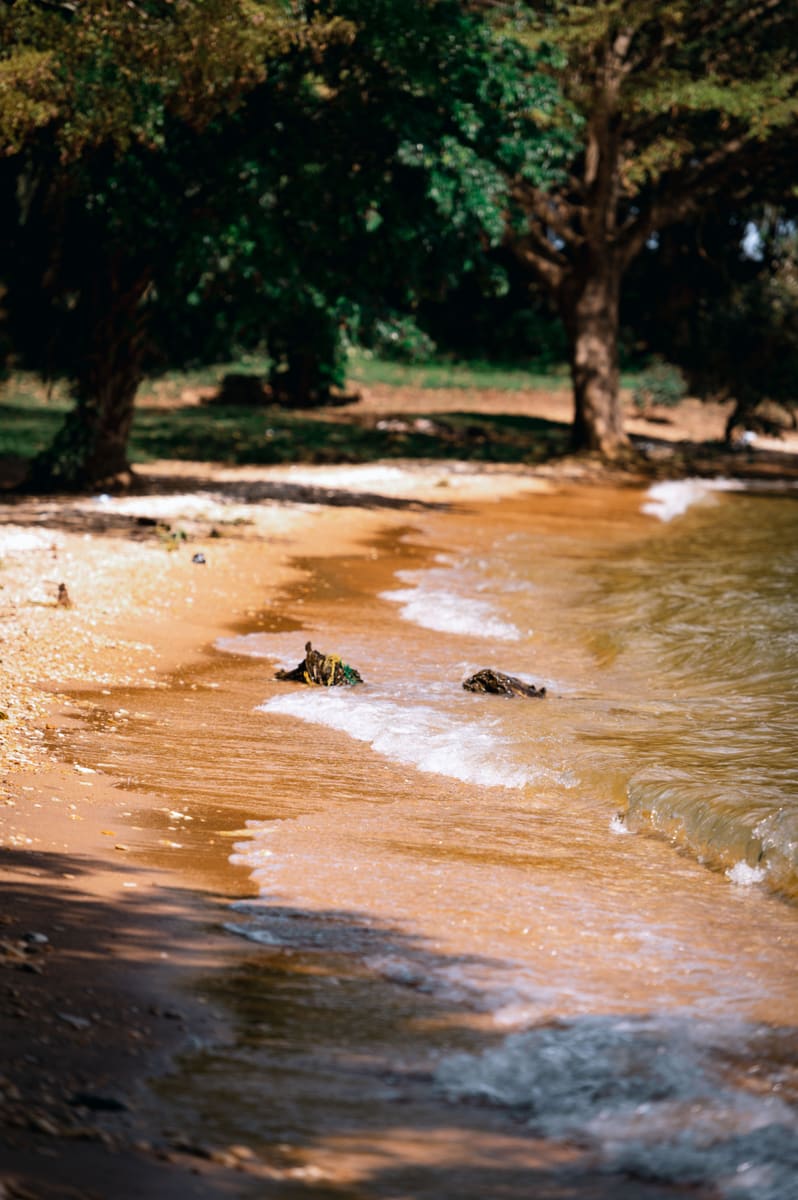Lakeside Beach — Burundi