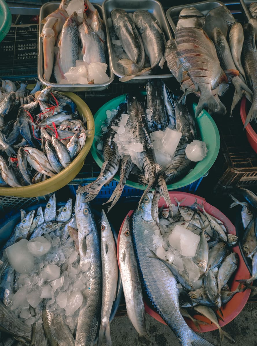 Market Fish — Cambodia