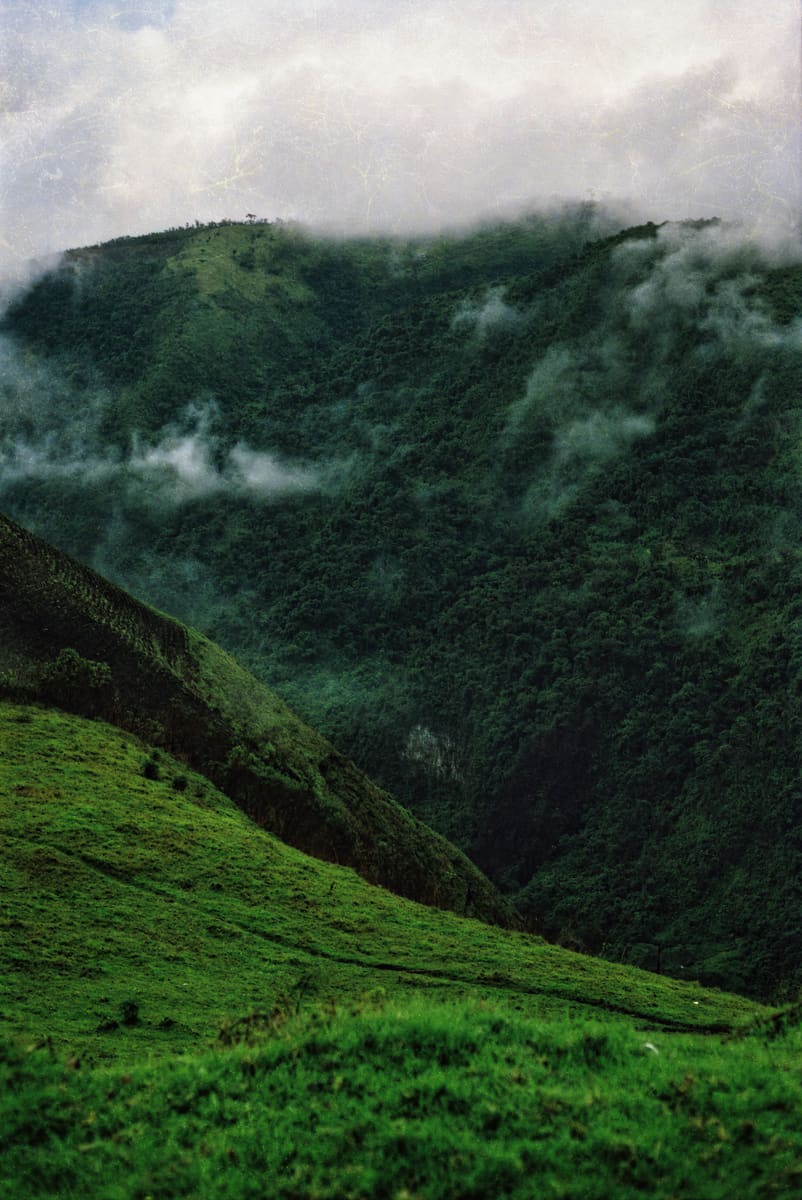 Green Mountain — Cameroon