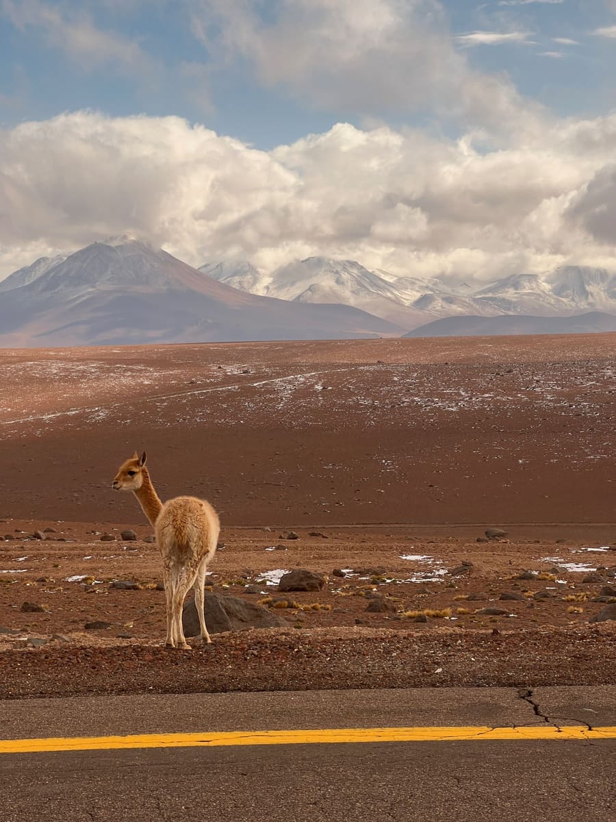 Atacama Desert — Chile