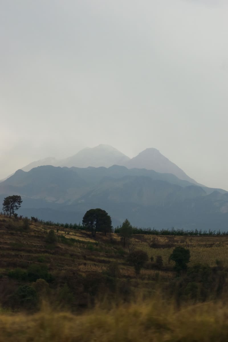 Volcano Grassland — Congo (Kinshasa)