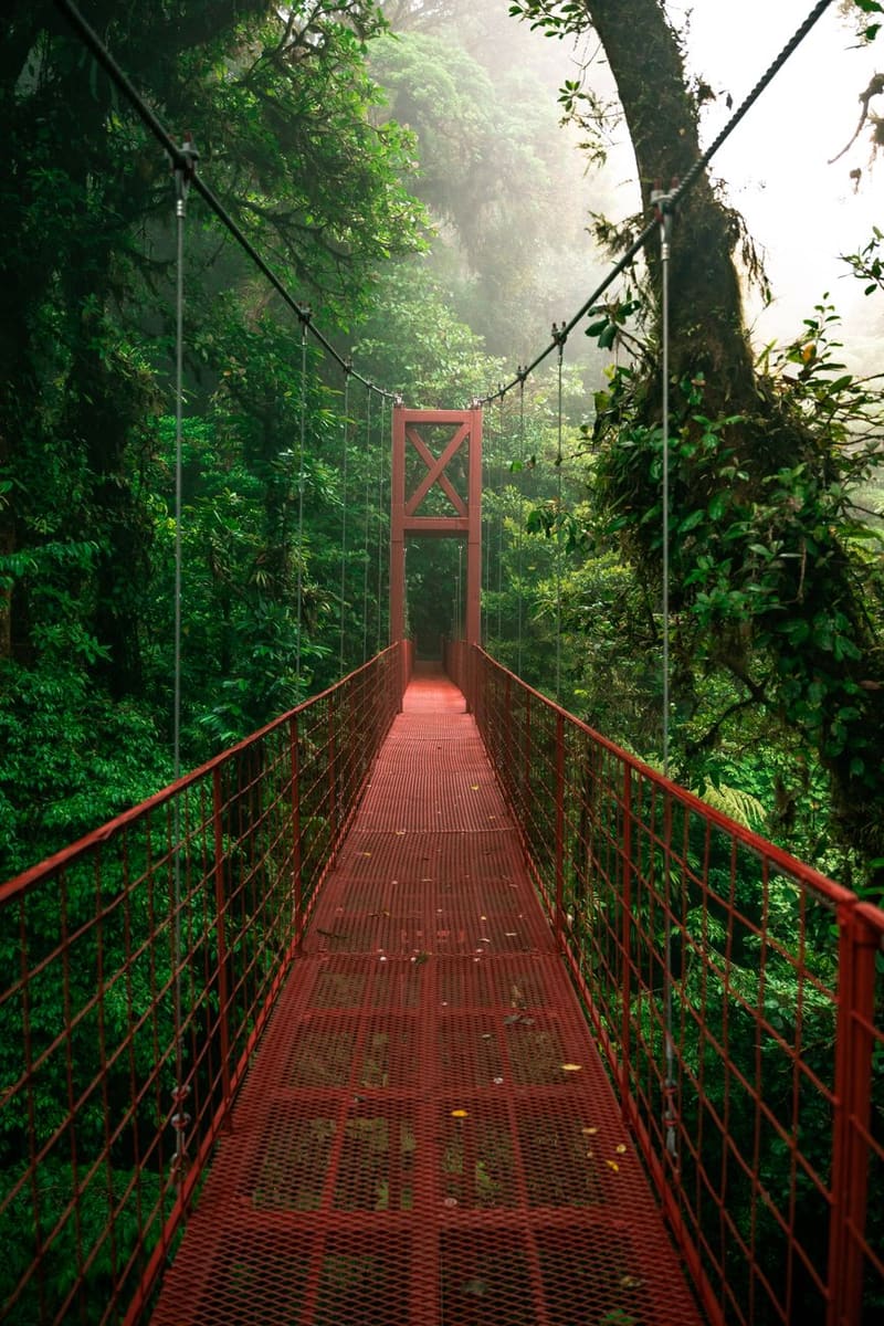 Monteverde Cloud Forest — Costa Rica