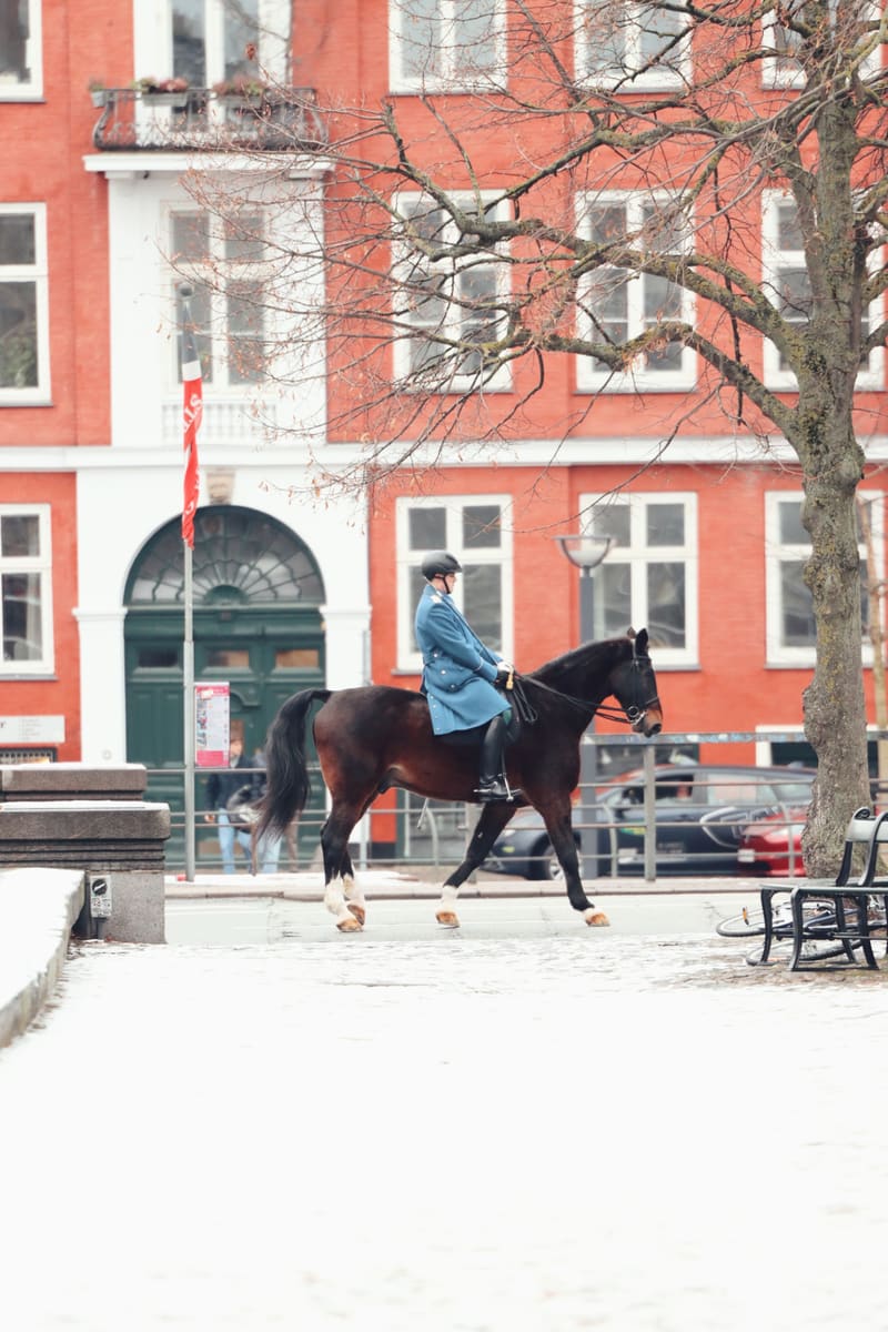 Copenhagen Horse Rider — Denmark
