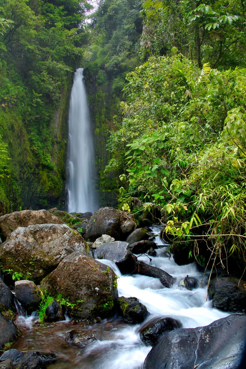 Forest Waterfall — Dominica