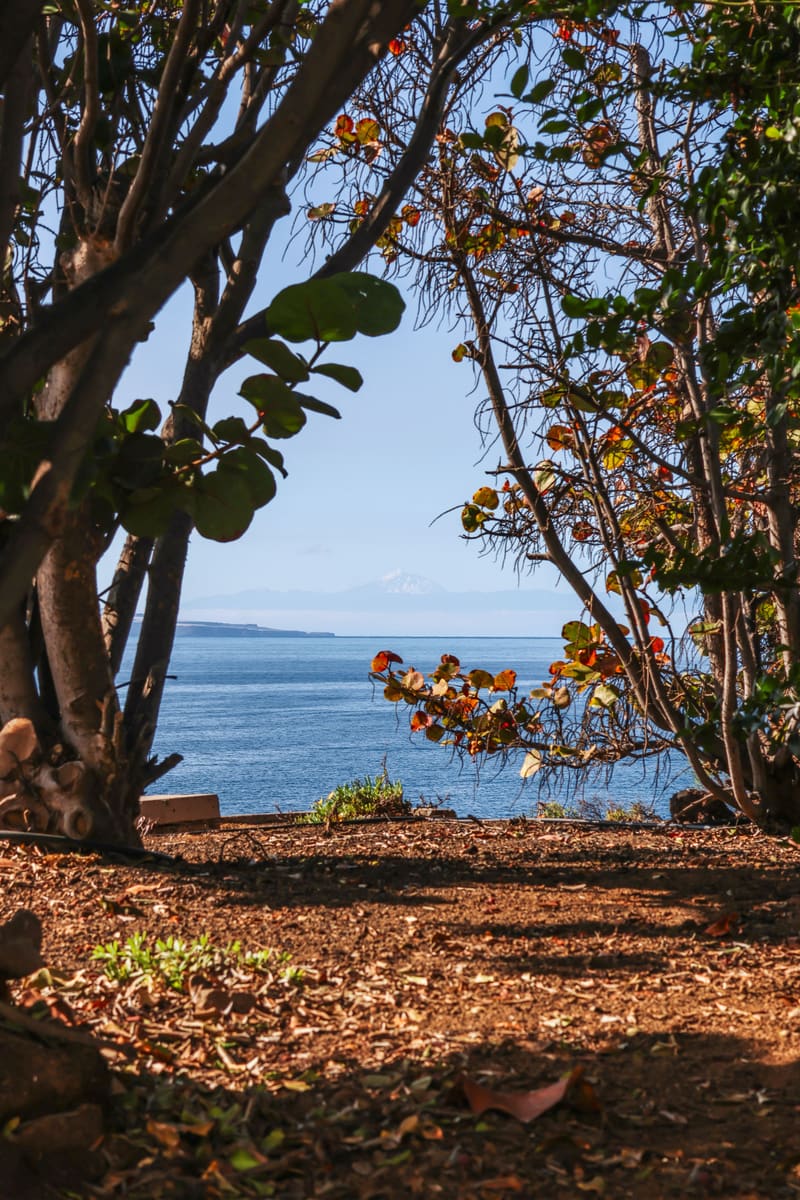 Tranquil Coast — Equatorial Guinea