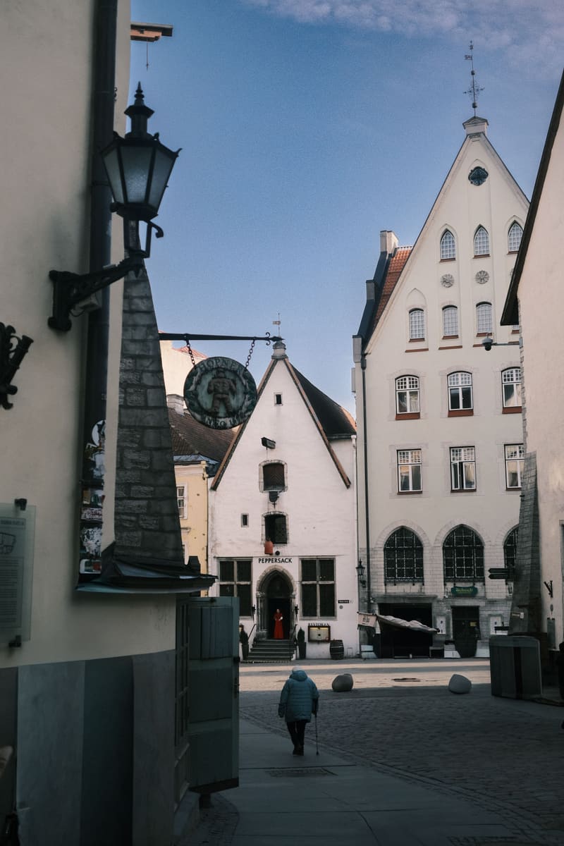 Cobbled Alleyway — Estonia