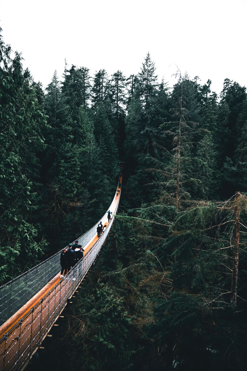Canopy Walkway — Ghana