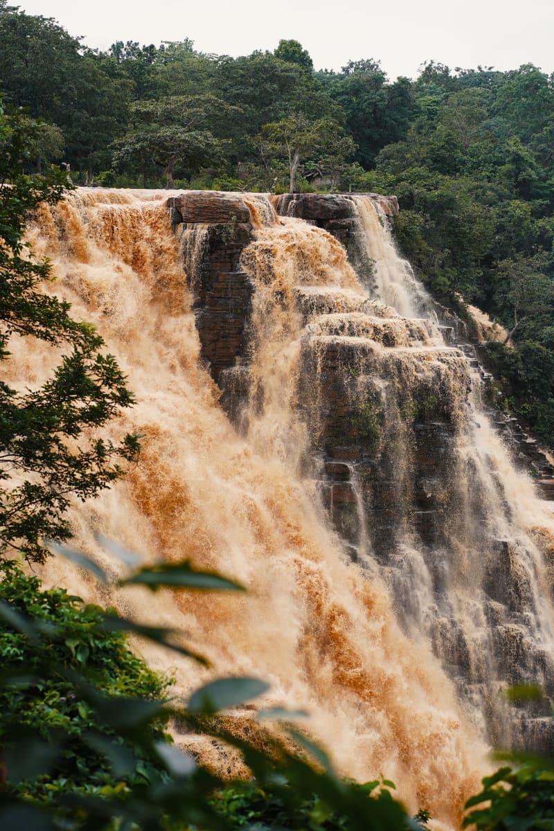 Forest Waterfall — Guinea