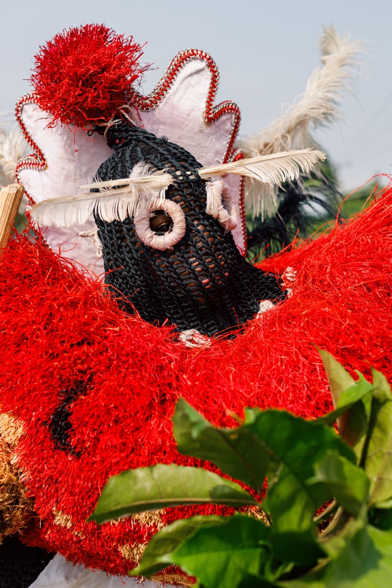 Feathered Costume — Ivory Coast
