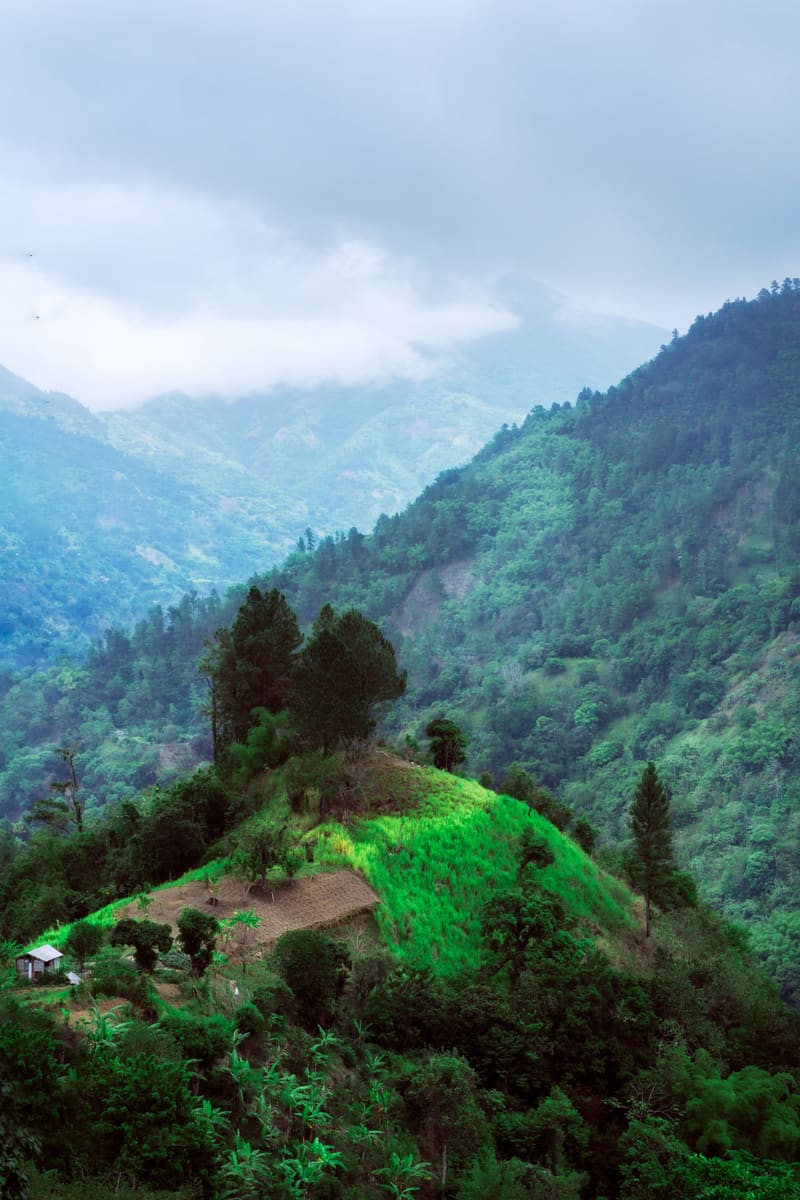 Green Mountains — Jamaica