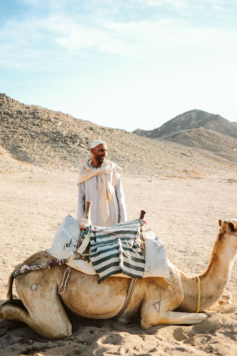 Bedouin on Camel — Jordan