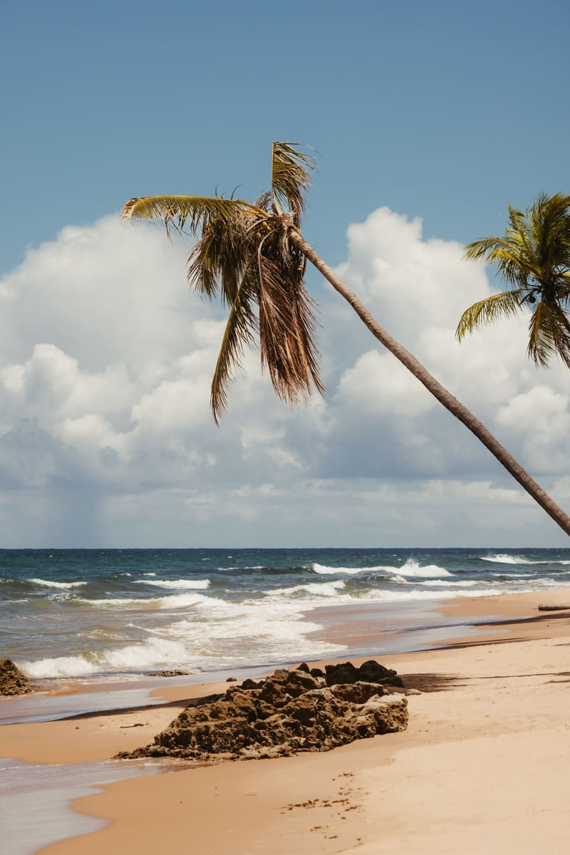 Palm Beach Shore — Liberia