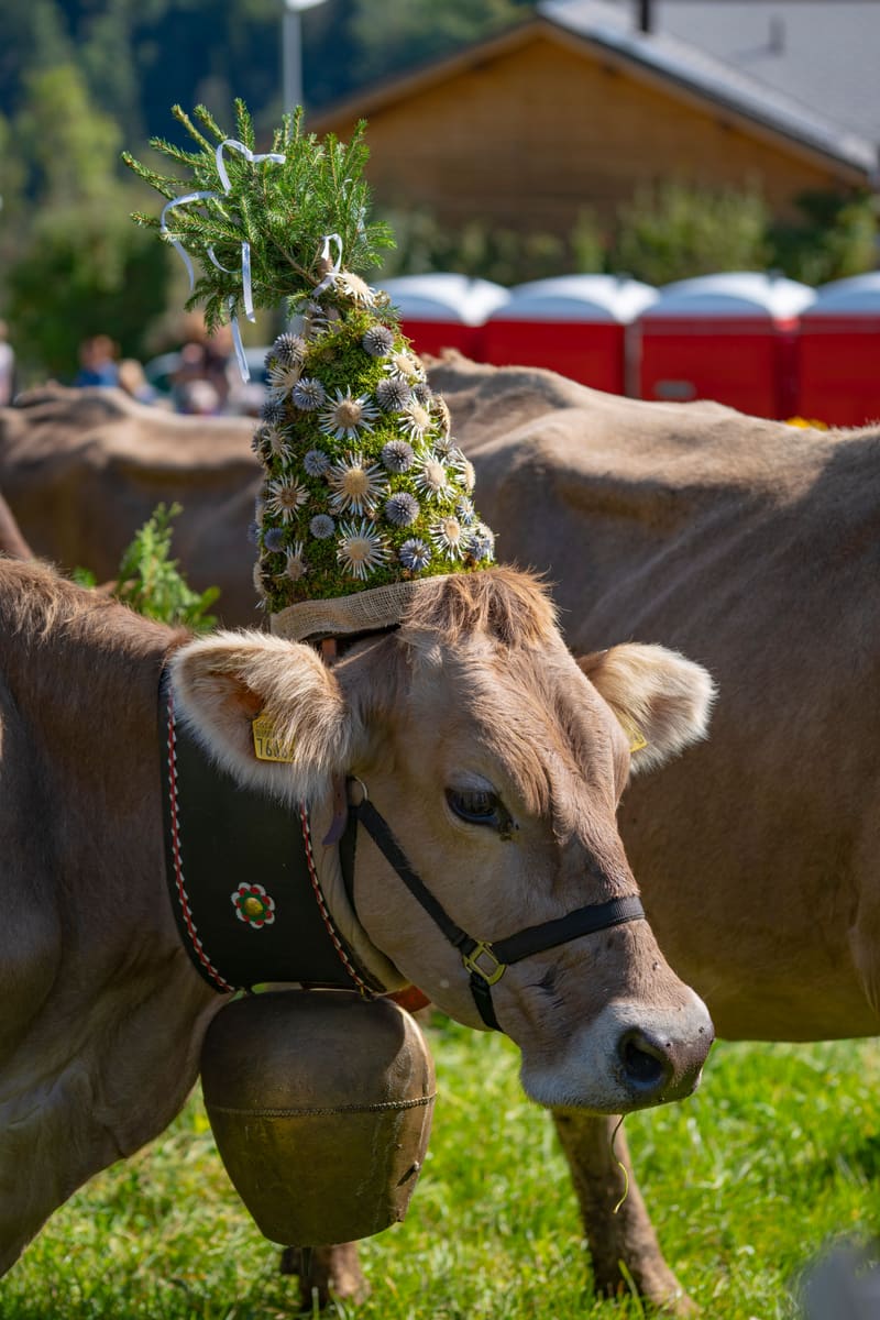 Decorated Cow — Liechtenstein