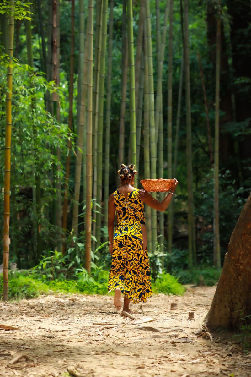 Forest Gatherer — Madagascar