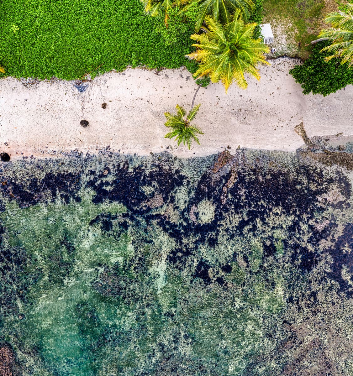Crystal Lagoon — Marshall Islands