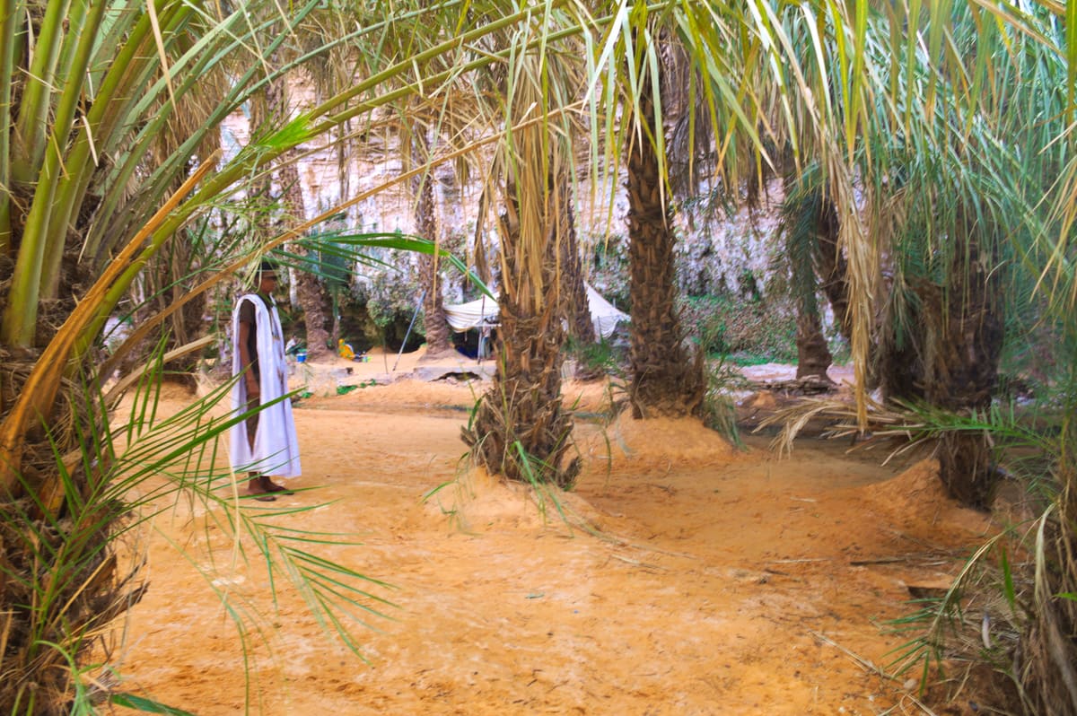 Terjit Oasis — Mauritania