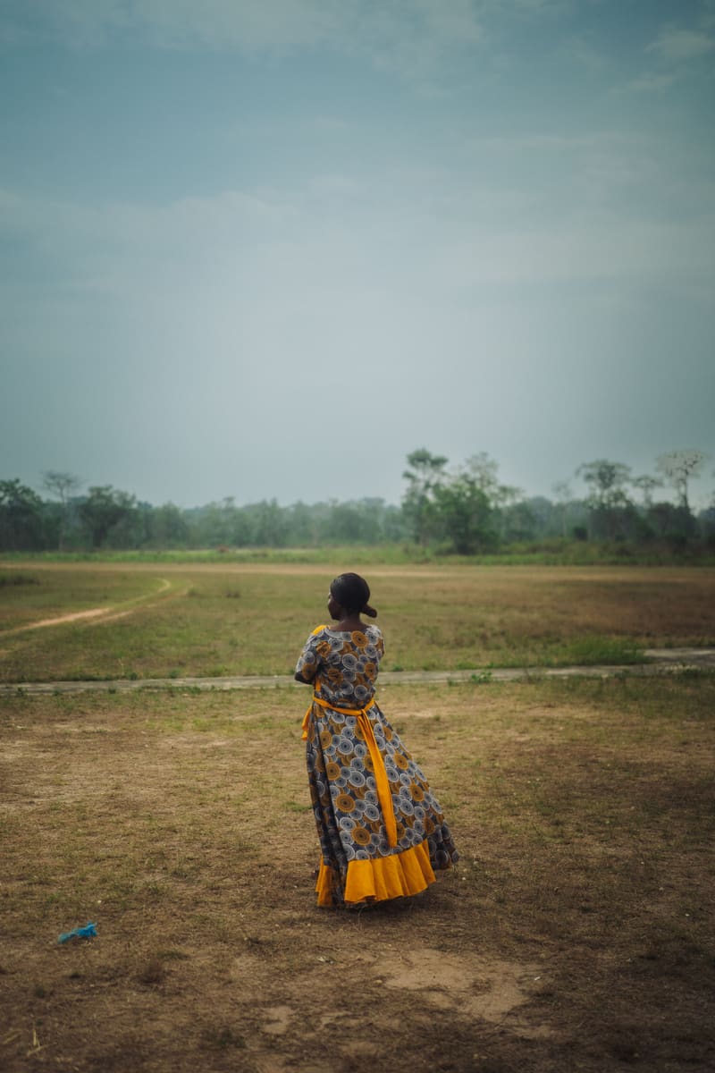 Field in Bloom — Mozambique
