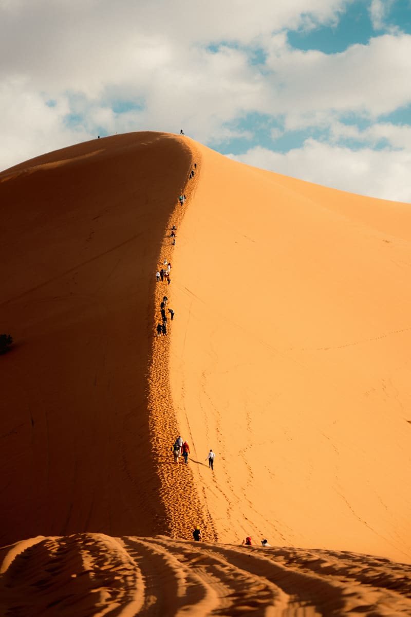 Dune Climbers — Namibia