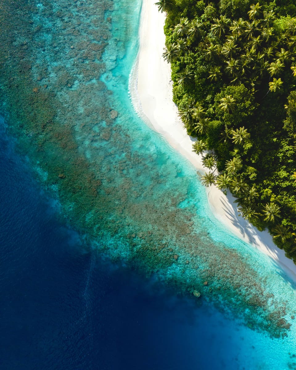 Coral Reef Island — Nauru