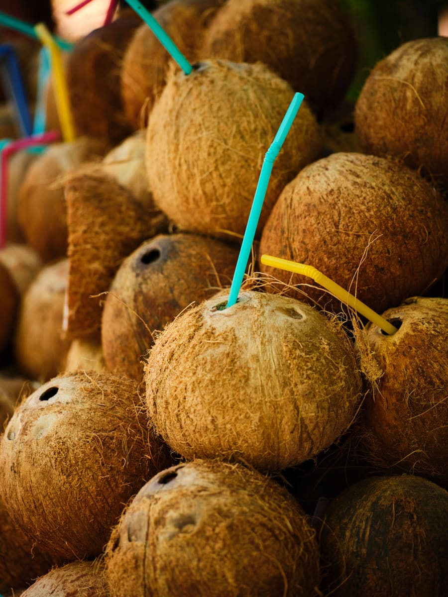 Fresh Coconuts — Nauru