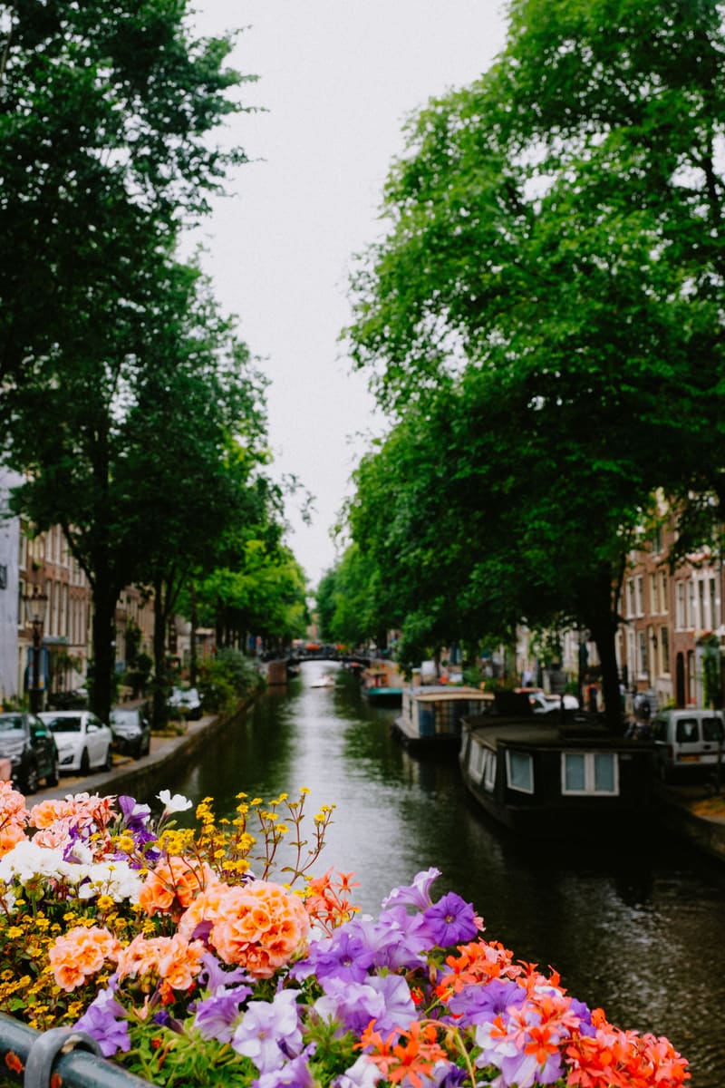 Canal Bridge — Netherlands
