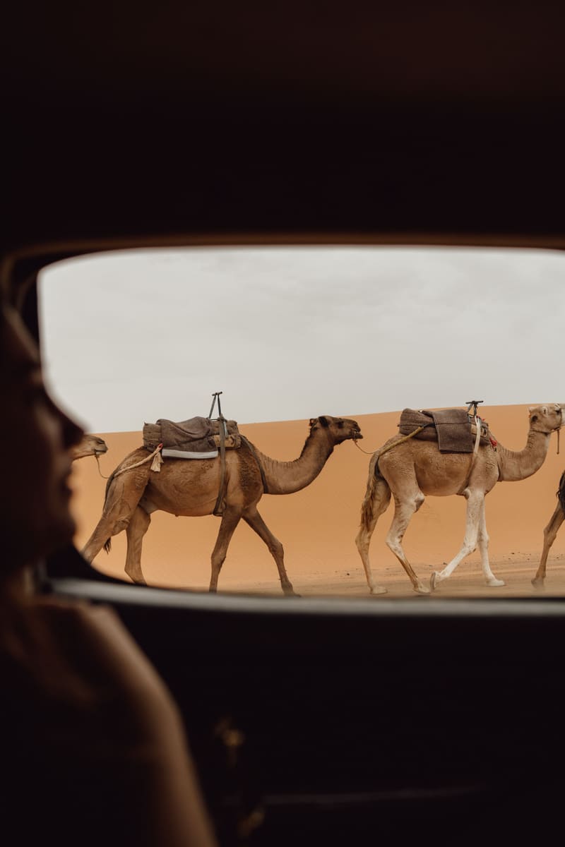 Camel Caravan — Niger