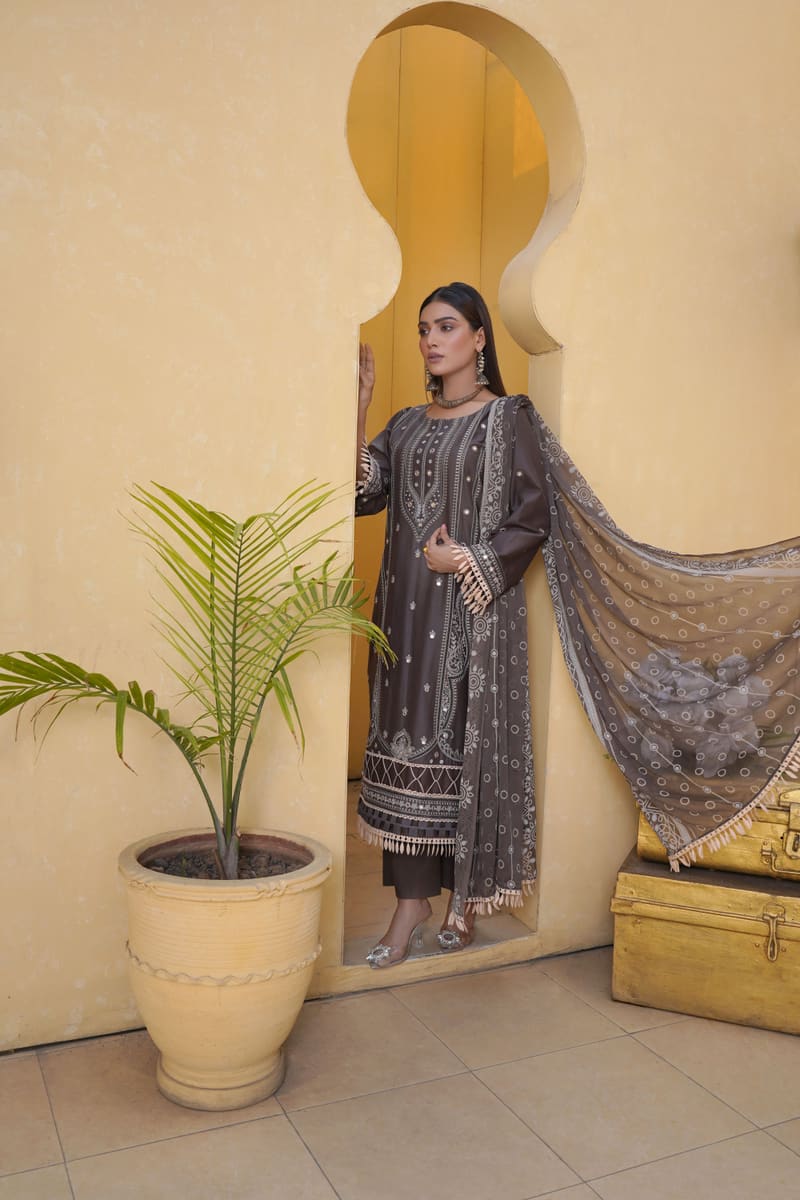 Embroidered Dress — Pakistan