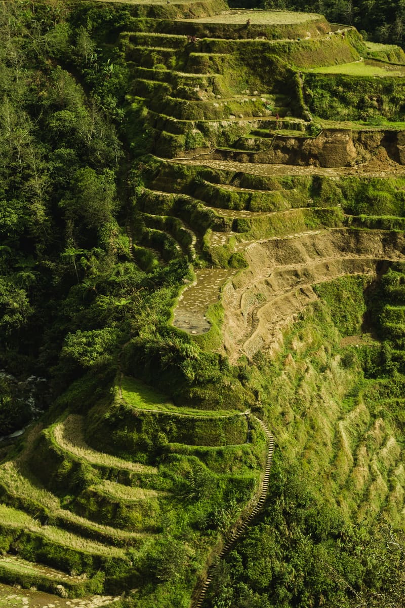 Rice Terraces — Philippines