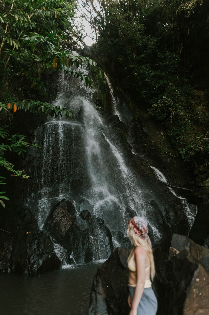 Waterfall Wanderer — Samoa