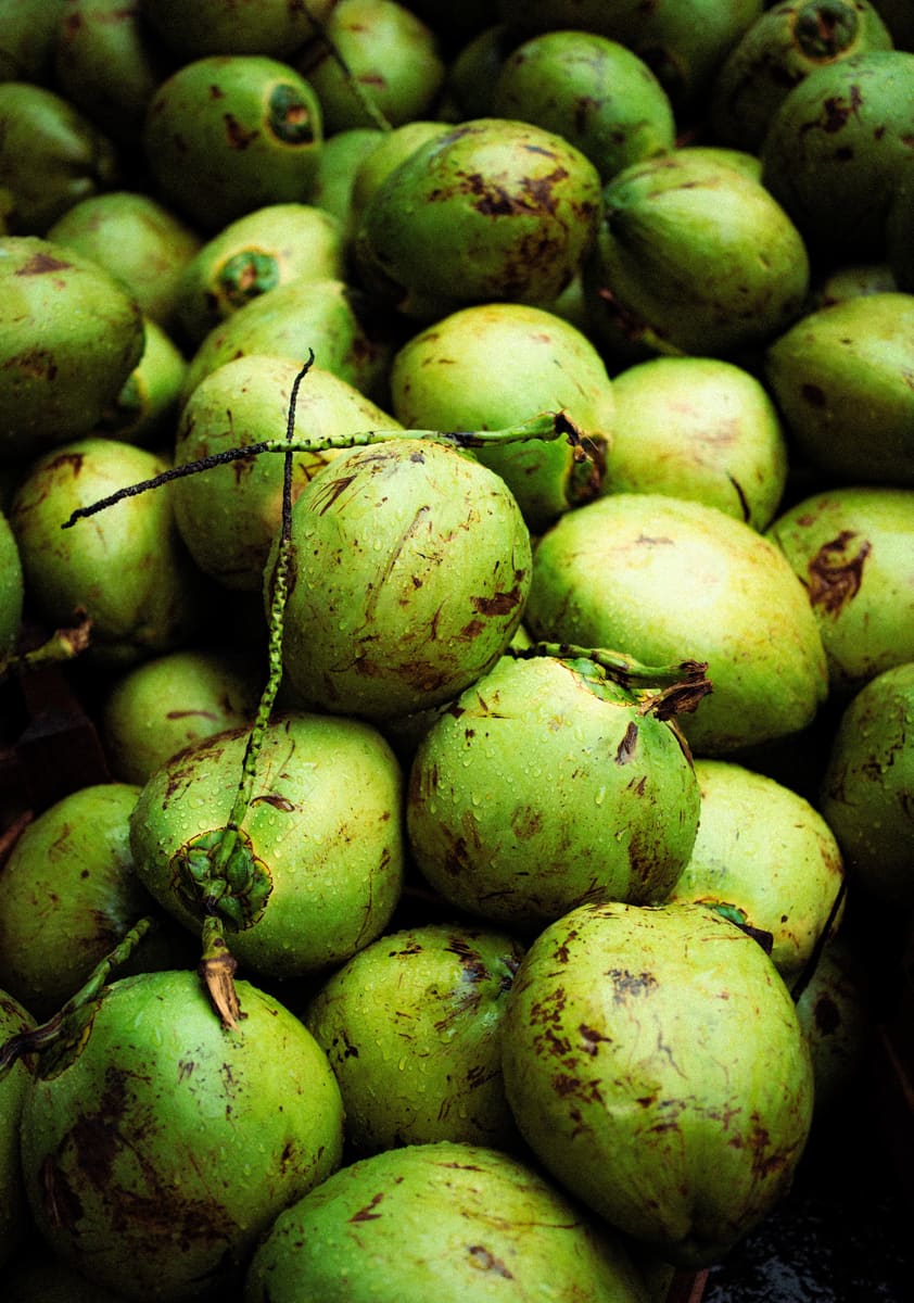 Fresh Green Coconuts — Samoa