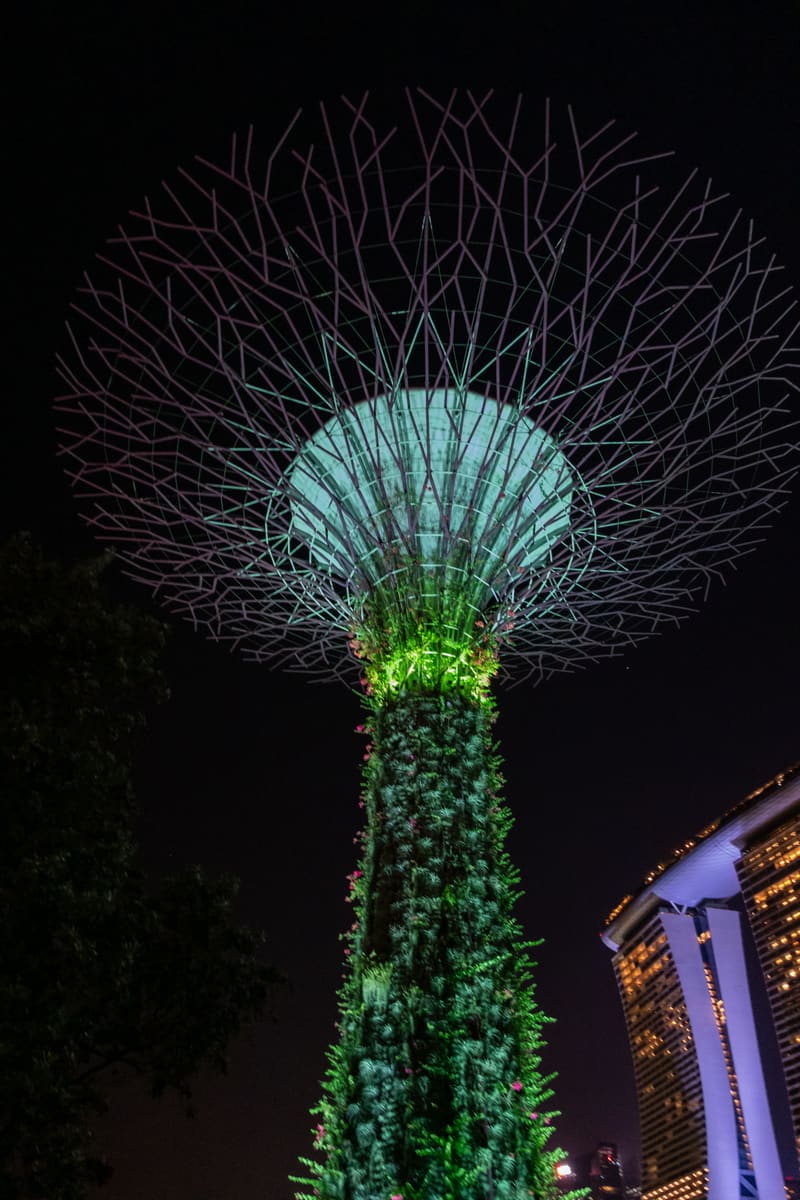 Supertree Grove — Singapore