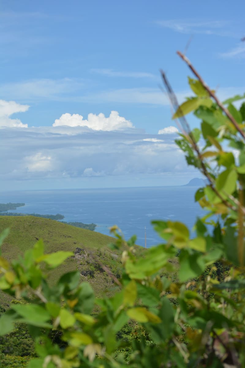 Green Sea Coast — Solomon Islands