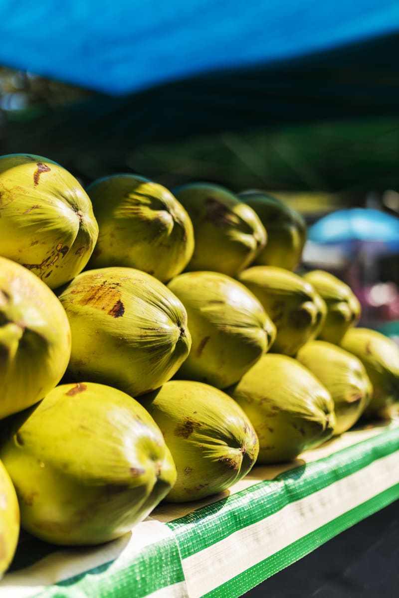 Tropical Fruit — Solomon Islands
