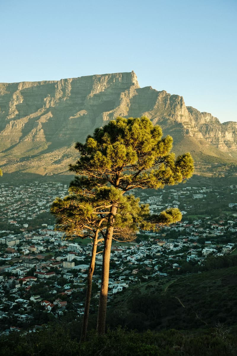 Table Mountain — South Africa