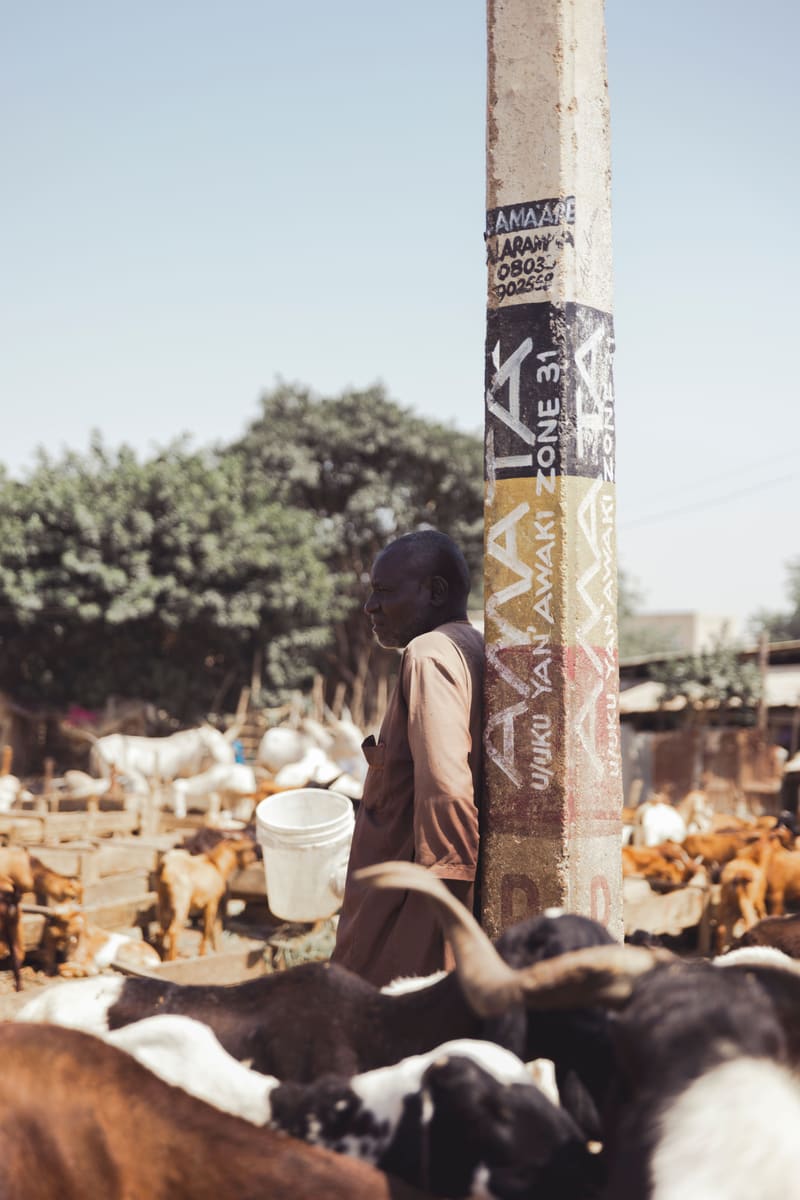 Market Herdsman — South Sudan