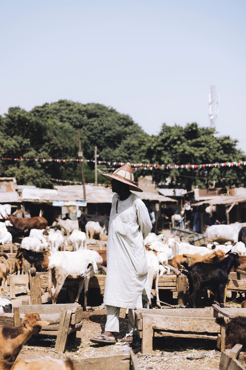 Goat Herder — South Sudan