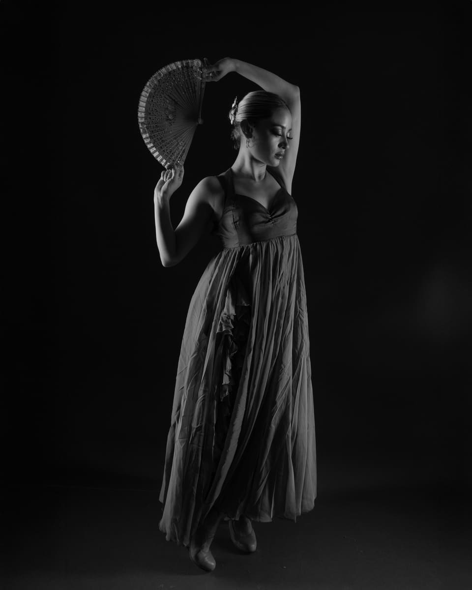 Flamenco Dancer — Spain