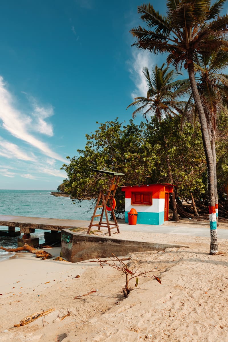 Palm-Fringed Beach — Trinidad and Tobago