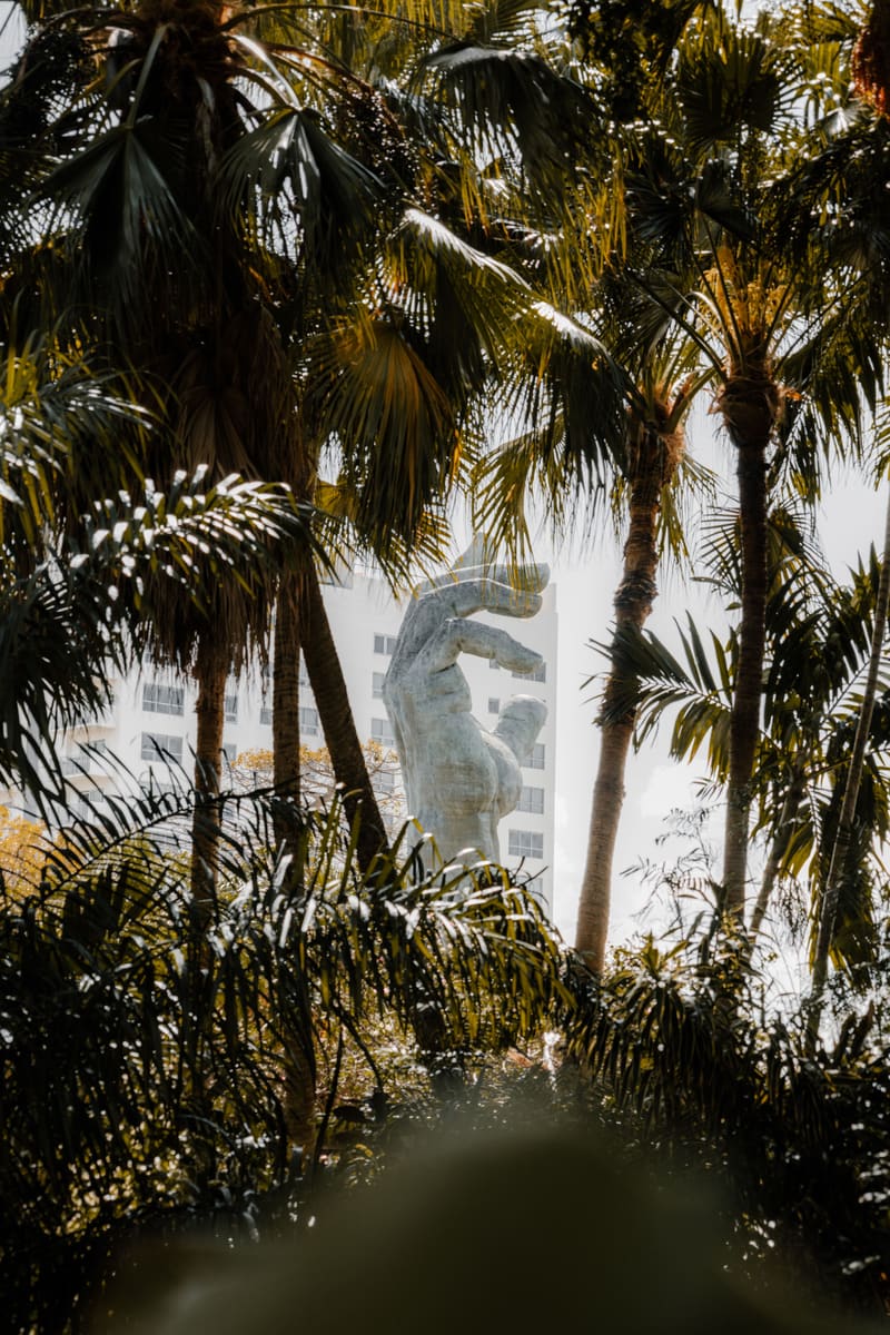 Palm Memorial — Uruguay