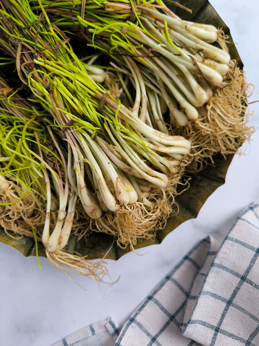 Fresh Spring Onions — Vanuatu