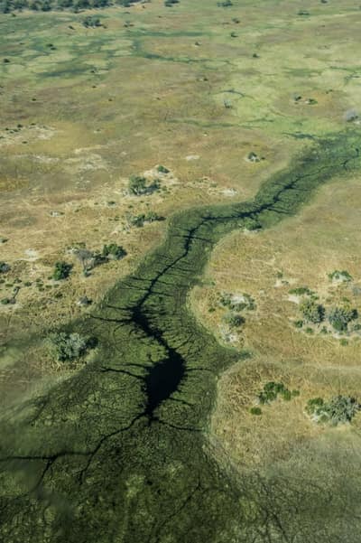 Botswana — travel photo