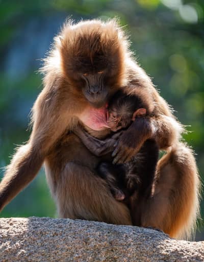Ethiopia — travel photo