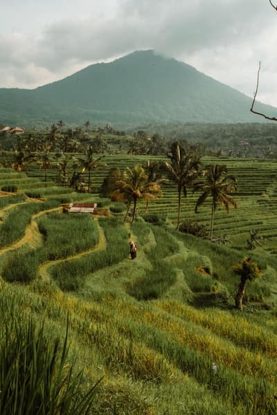 Indonesia — travel photo