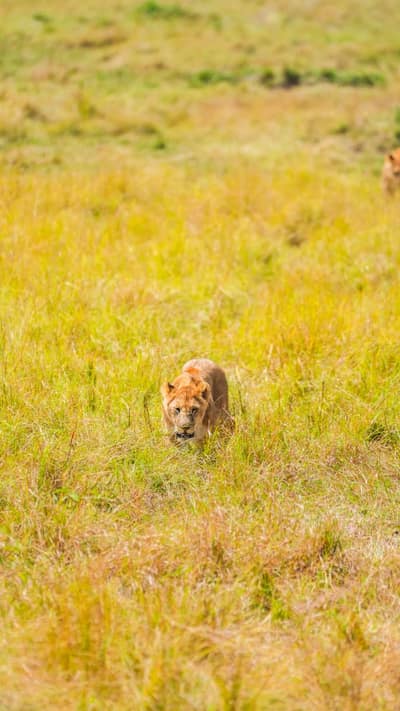 Kenya — travel photo