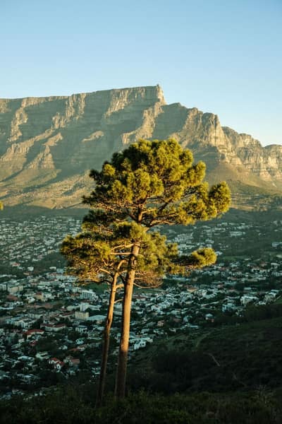 South Africa — travel photo