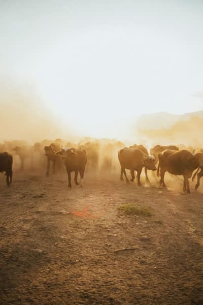 South Sudan — travel photo