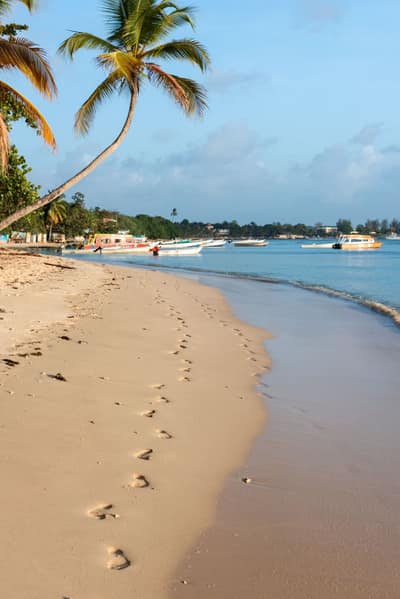 Trinidad and Tobago — travel photo